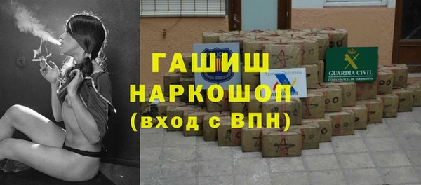 мдпв Бородино
