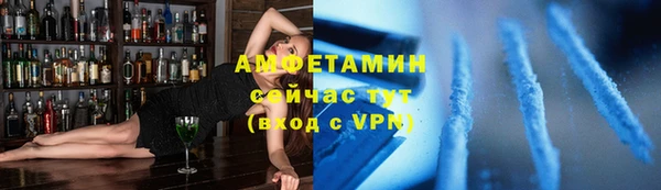 мдпв Бородино