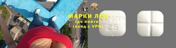 мдпв Бородино