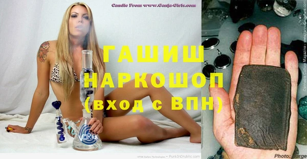 мдпв Бородино