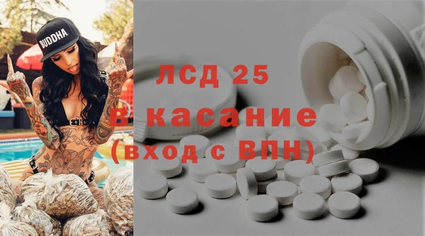 мдпв Бородино