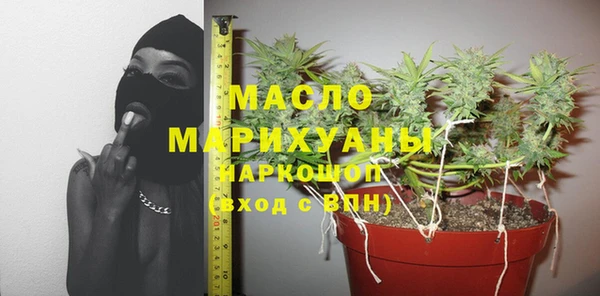 мдпв Бородино
