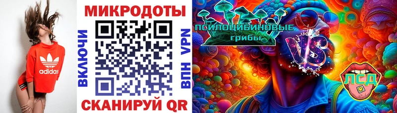 купить наркотики цена  Гдов  сайты даркнета клад  Псилоцибиновые грибы Psilocybine cubensis 