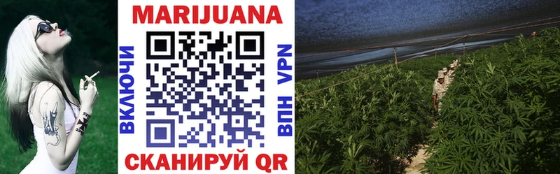 Канабис White Widow  KRAKEN   Гдов 
